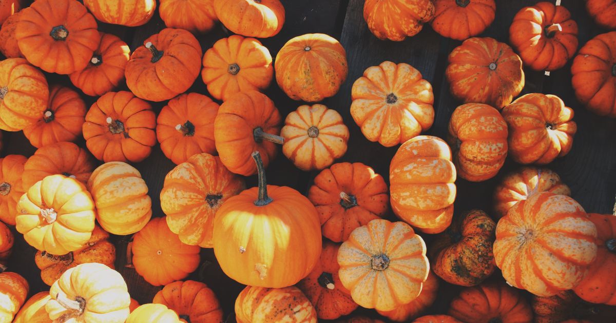 Fall Fun